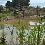 Brug naar eiland