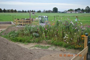 Terras op het eiland